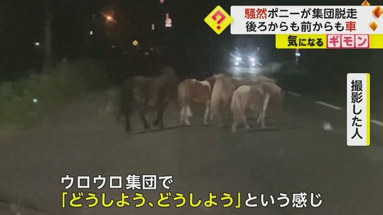 （FNN投稿サイト「ビデオPost」）