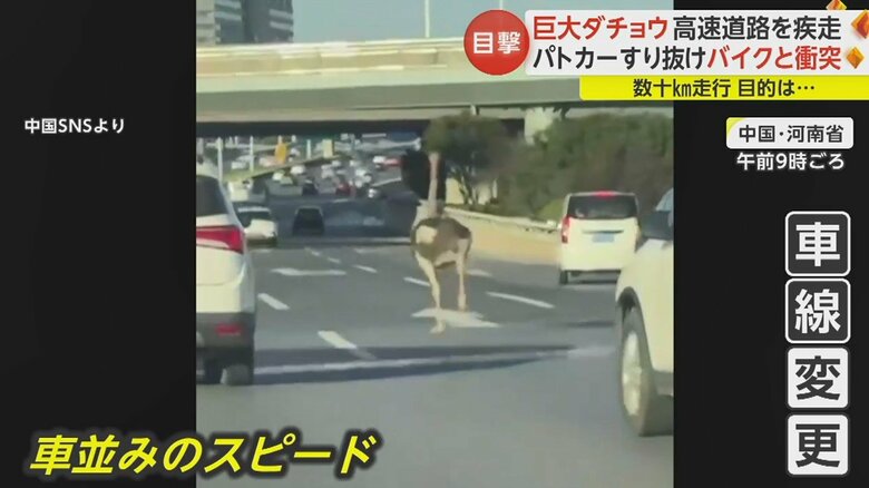 （11月6日）