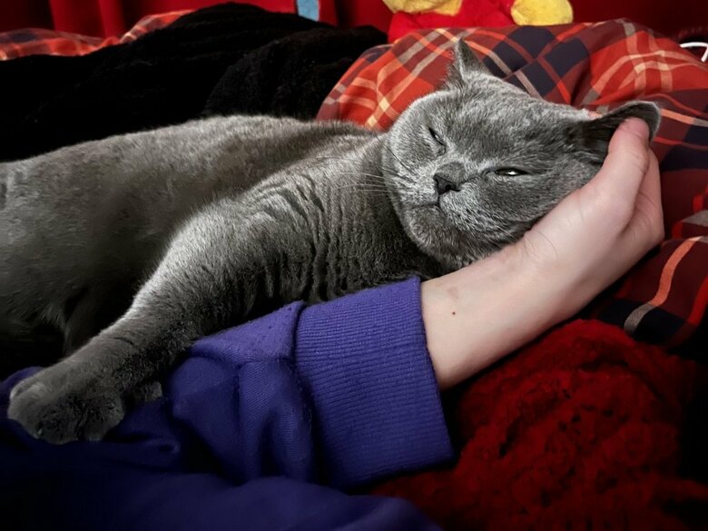 甘えん坊なおそばちゃん