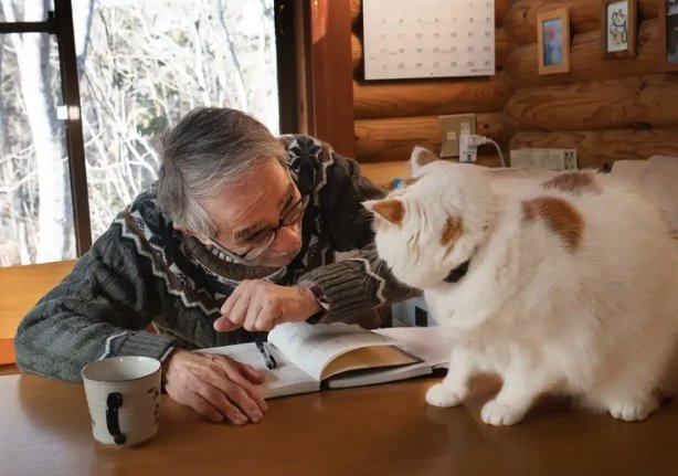 メイくんに話かけると…（提供：MARCOさん）