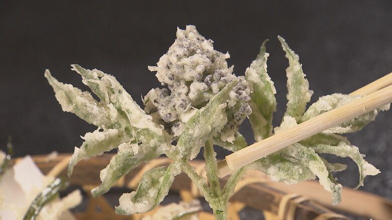 ニワトコのつぼみの天ぷら