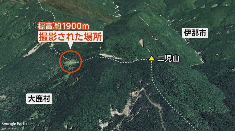 シカが撮影された場所