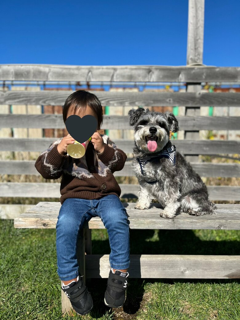 提供：くぅさん