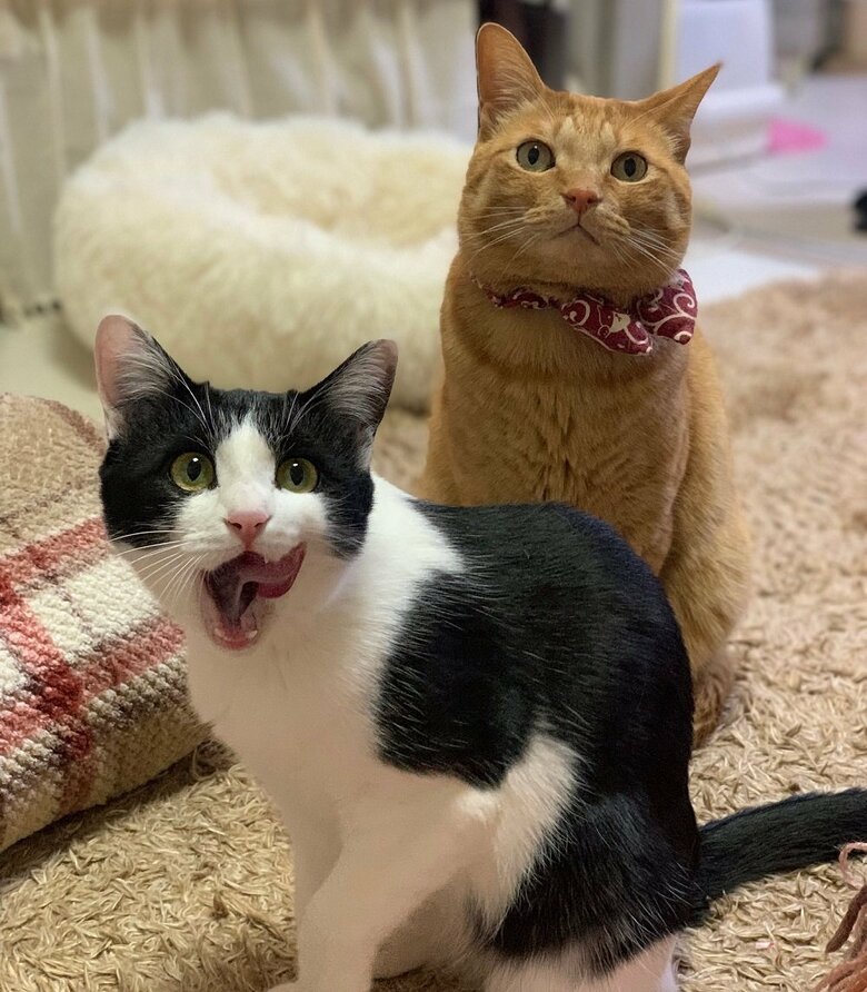 左：陽葵ちゃん　右：ちまきくん