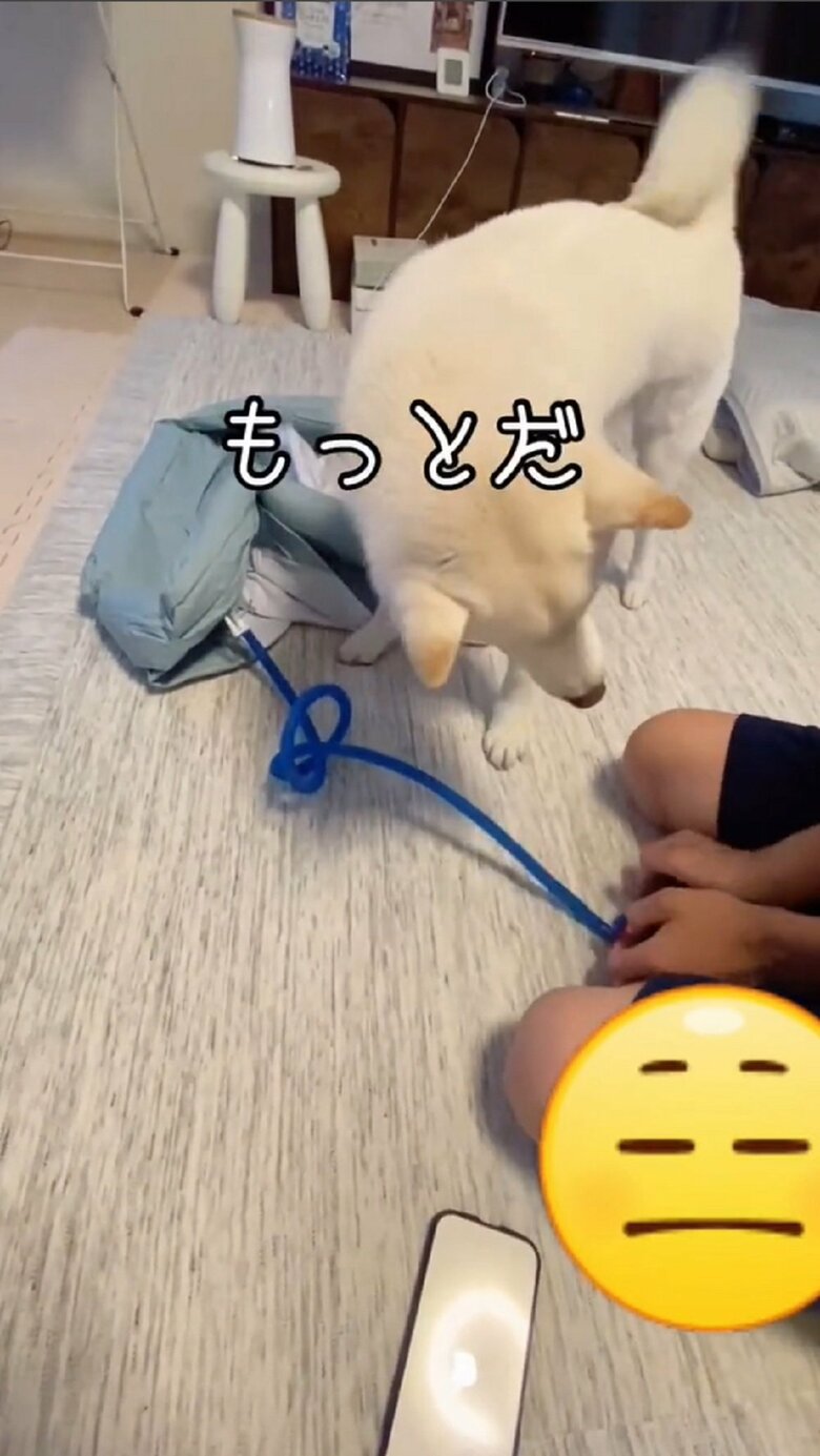 「もっとだ」
