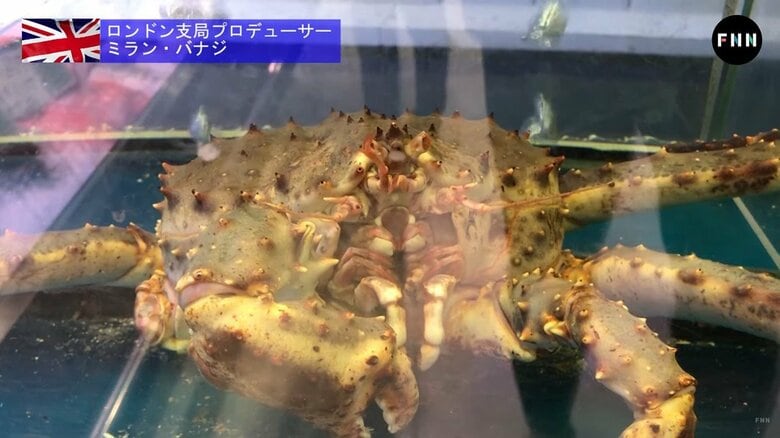 カニも「痛い」んです・・・