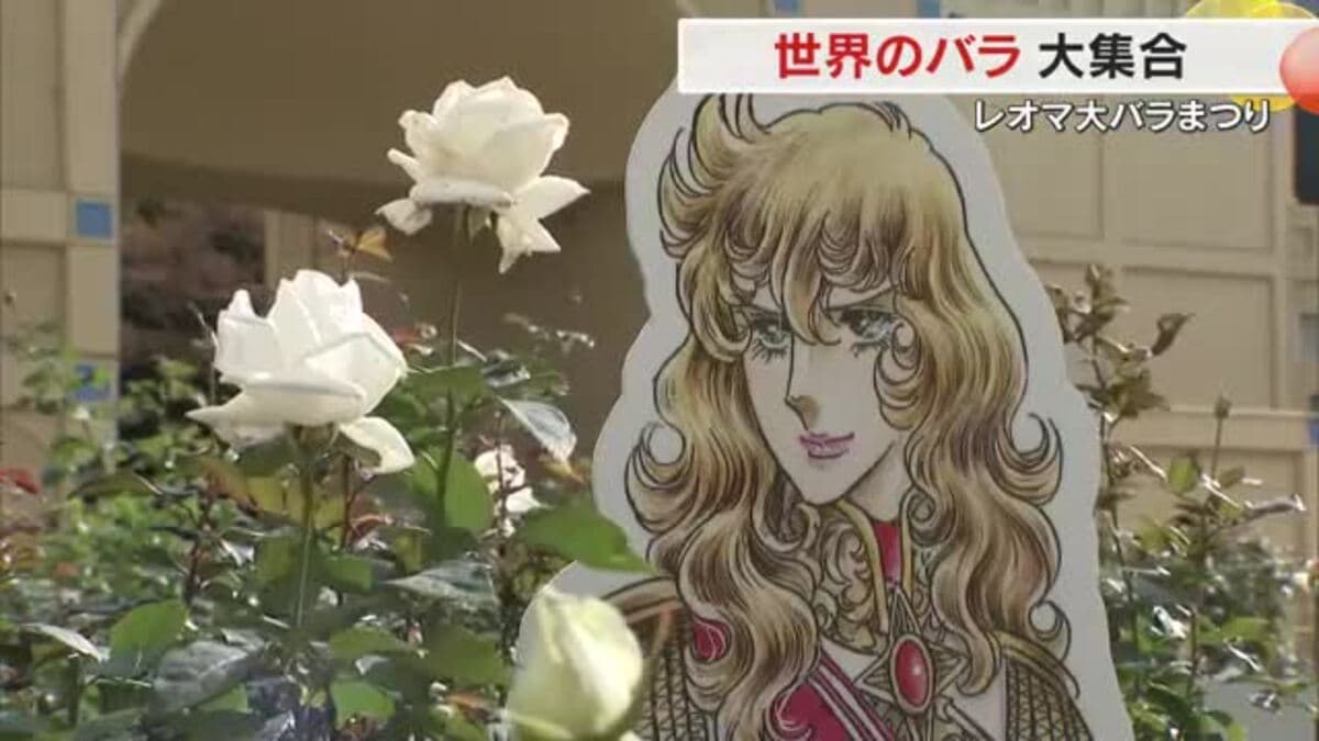 世界の約400品種のバラが華やかに…丸亀市のレジャー施設で「秋の大