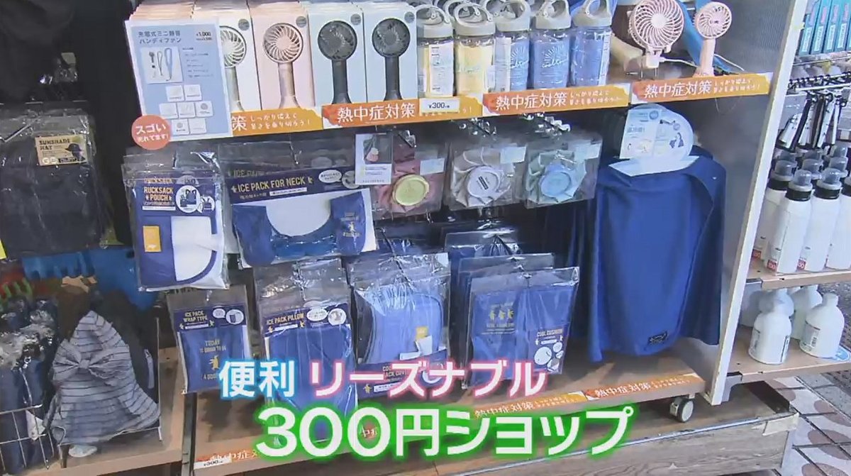 安くてカワイイ 夏の暑さを乗り切る300円グッズをご紹介 紫外線 熱中症対策グッズが人気