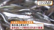 瀬戸内海の春の味覚「イカナゴ」解禁も不漁続く　わずか２日でことしの漁が終了