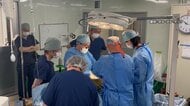 “ブタの腎臓を人に”国内初の治験　「臓器移植ドナー不足に選択肢」