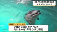イルカの研究成果を公開　2歳イルカ「ミルキー」が10種類以上の動作を習得　大人の動きをまねて学ぶ　学会でも発表　兵庫・城崎マリンワールド