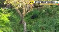 県内初の“緊急銃猟”で駆除…山間部の住宅周辺に『クマ』が出没 指揮を執った職員が明かした緊迫の現場