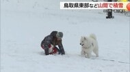 犬は喜び“ゲレンデ”駆け回る…今季最強寒波で大山も一面銀世界　「恵みの雪」歓迎スキーシーズンに備え