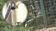 水道水から人体に有害な有機フッ素化合物検出…公表遅れ「子どもに飲ませていた。元に戻して」と母親から悲痛な声【沖縄発】