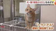 イヌ・ネコ殺処分ゼロへ　新しい飼い主を“急かさない”「やっぱりいらない」を防ぐマッチングへ（鳥取）