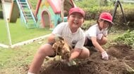 学校創立１５０年！校内で育てたサツマイモで焼酎づくり　児童が収穫　鹿児島・出水市の小学校