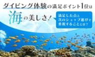 ダイビング体験の満足ポイント1位は「海の美しさ」！満足した点と次のショップ選びで重視することとは？