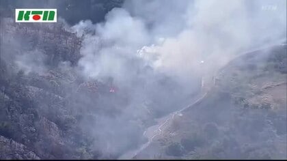  五島市で発生した山火事　会社員の男を廃棄物処理法違反などの罪で略式起訴…焼却禁止の場所で木の枝約480kgを燃やす　4万4000平方メートル焼失