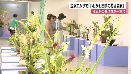 ゆらゆら揺れる「涼風」と名付けた作品 4流派126点が集う生け花展が金沢エムザで始まる
