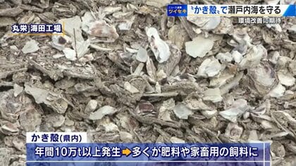 「かき殻」が瀬戸内海の環境を守る救世主に 干潟にまくと有害物質を浄化 生き物が育ちやすい「豊かな海」に【広島発】