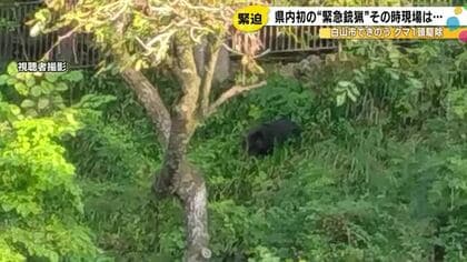 県内初の“緊急銃猟”で駆除…山間部の住宅周辺に『クマ』が出没 指揮を執った職員が明かした緊迫の現場