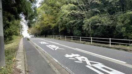 乗用車とクマが衝突、山へ走り去る　近くにはこども園や小学校　福井市グリーンハイツ