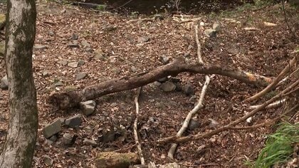 【解説】死後に火を？顔見知りの犯行？場当たり的？山林で焼けた２遺体発見　現場から見えてきたこと　栃木・那須