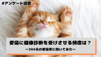 愛猫に健康診断を受けさせる頻度は?304名の愛犬家にアンケート調査を実施