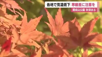 秋深まる　福島県各地で気温低下　郡山で最高気温16℃予想　前日との寒暖差に注意　