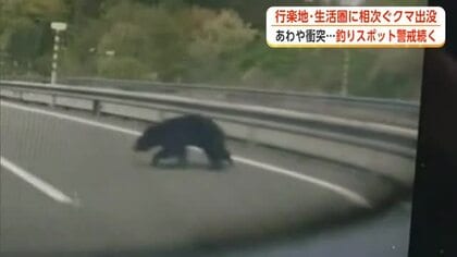 クマの目撃、後絶たず　高速道路走行中の車はあわや衝突　人気の釣りスポットは警戒態勢続く　秋田