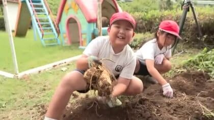 学校創立１５０年！校内で育てたサツマイモで焼酎づくり　児童が収穫　鹿児島・出水市の小学校