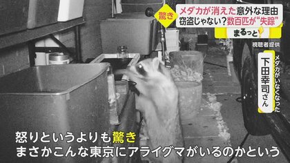 数百匹が消えた…“メダカ泥棒”を突き止めようと設置した防犯
