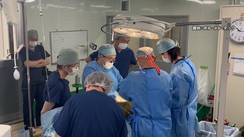 “ブタの腎臓を人に”国内初の治験　「臓器移植ドナー不足に選択肢」