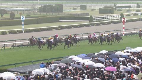 【牝馬クラシック開幕　桜花賞・G1】 2歳女王スターアニスが始動！桜の女王となるのは！？そして、今週の穴馬は…