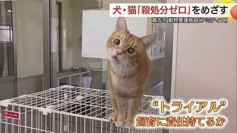 イヌ・ネコ殺処分ゼロへ　新しい飼い主を“急かさない”「やっぱりいらない」を防ぐマッチングへ（鳥取）