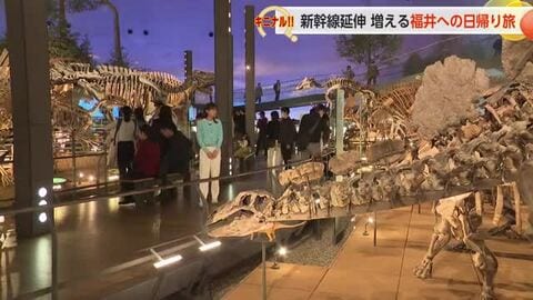 富山から最速44分で恐竜王国へ！ 新幹線効果で「週末福井旅」が人気急上昇【動画で見る】