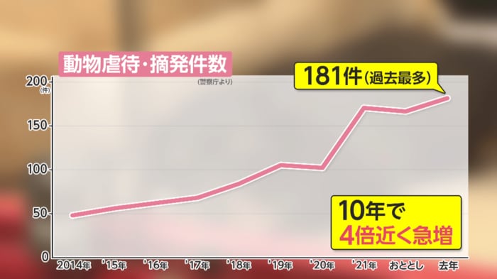 警察庁によると全国で摘発された動物虐待事件の件数は急増している