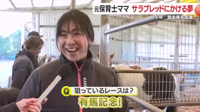 夢は大きく　有馬記念出走！