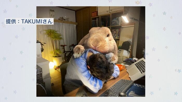 飼い主のTAKUMIさんが画像編集し、巨大化させたという