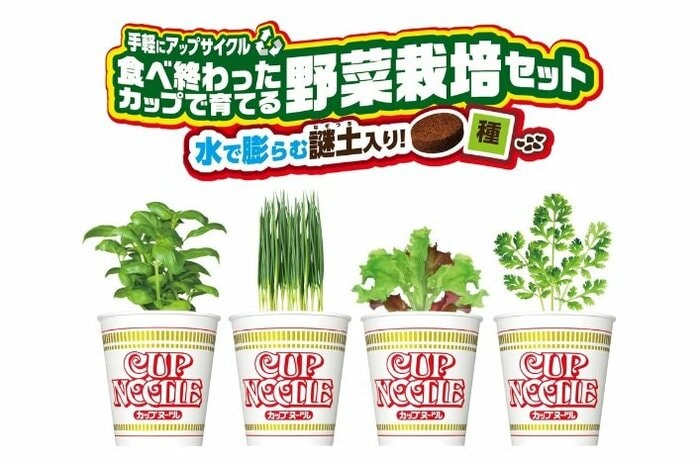 (日清食品公式サイトより)※画像はイメージ