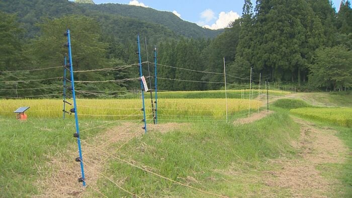 電気柵