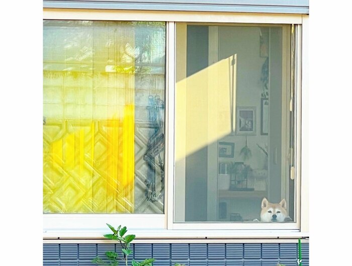 提供:橋本真実さん