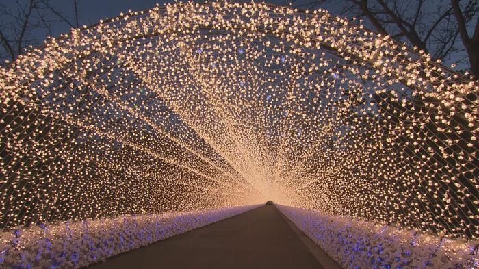長さ200m!おなじみ「光のトンネル」はあたたかな色合い