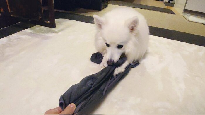 投稿のその後、シャツは回収したという