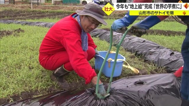 地上絵作りを行う佐藤さん