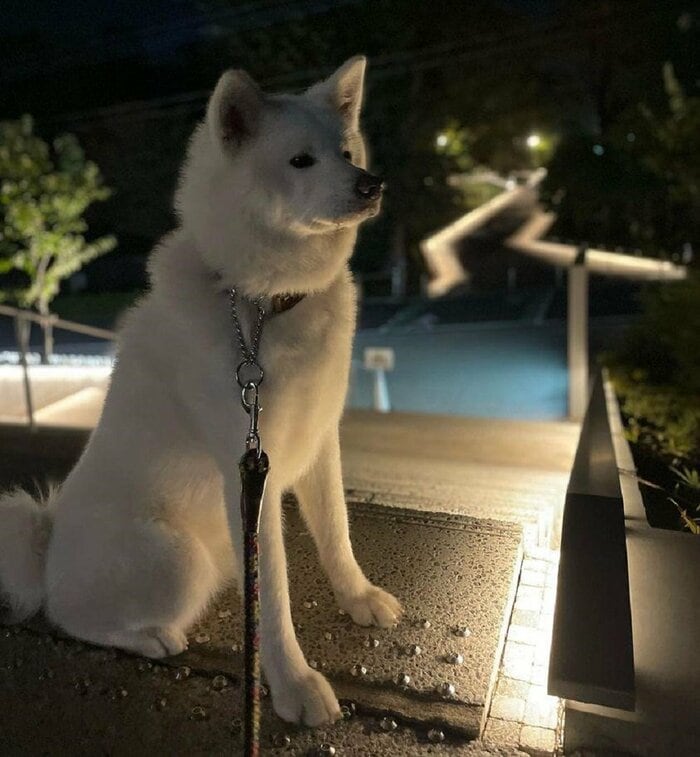 友達を待っているユキちゃん