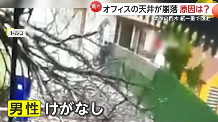 道に倒れてきた木を避けた男性（画面中央）（IHA）