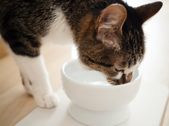 （画像はイメージ）