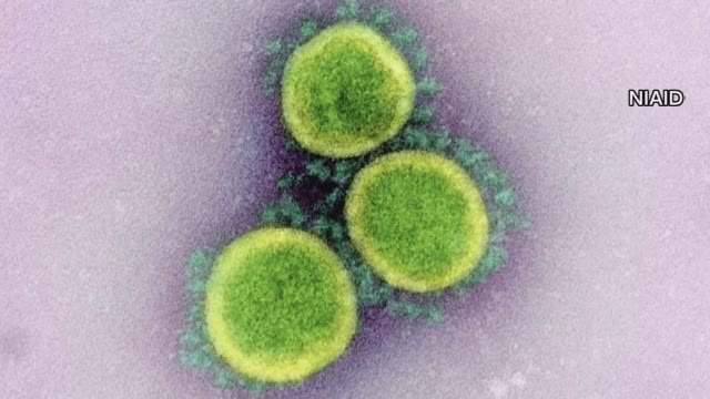 広島市で新たに4人の新型コロナ感染者