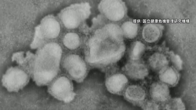 インフル猛威…ほぼ変異株「サブクレードＫ」　患者さらに増加　しばらく流行続く見込み　長野県｜FNNプライムオンライン